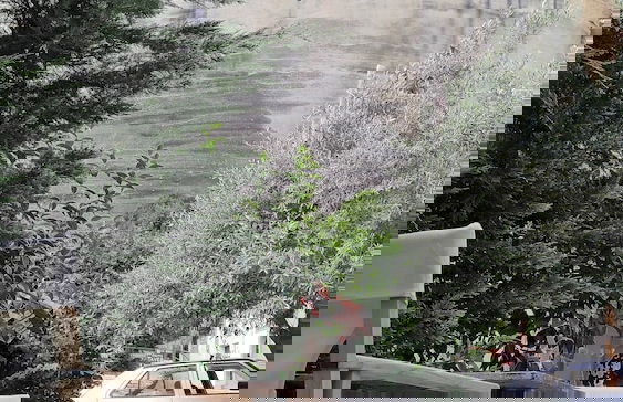 Rina's House Meteora - Foto 31