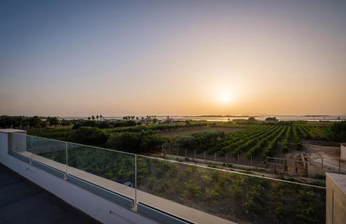 Martina's Vineyard - villa - Foto 36