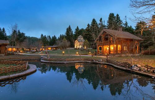 All Seasons Paradise - Photo 2