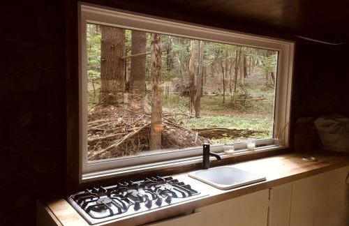 Romantic Glamping Getaway in a Pet Friendly Caravan, Ideal to Explore Hudson Valley - Foto 6