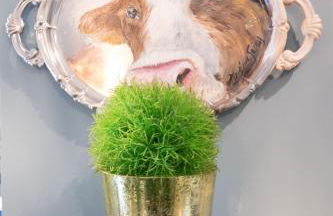 Y.Palmela - Boutique Apartments - Foto 72