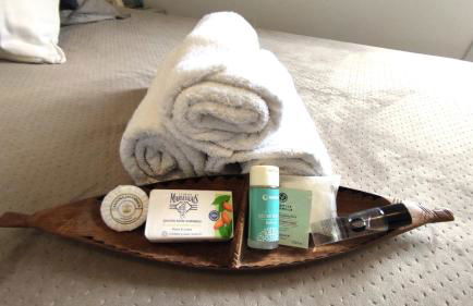 ZION -100m Zen - Paris-DisneyLand - Foto 14