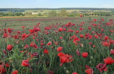Ferienwohnung Tillmanns - Foto 26