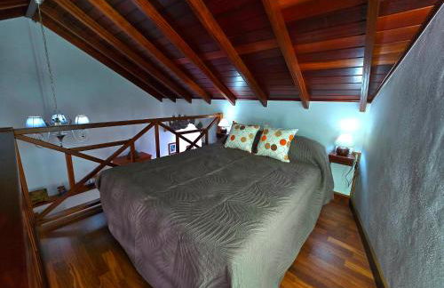 Cozy Canarian House La Casa de mis Abuelitos by HRTenerife Net - Foto 22