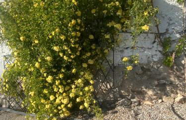 cottage lavanda e rosmarino - Foto 20