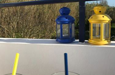 Bico das flores - Foto 69