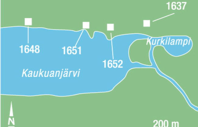 Iso marina - Foto 12