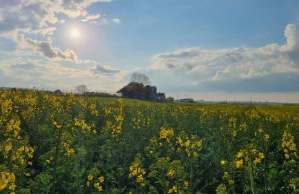 Osada Miłojeż - całoroczne Domy Premium w Borach Tucholskich, Jacuzzi pod gwiazdami - Foto 40