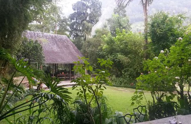 The Last Resort - Foto 40