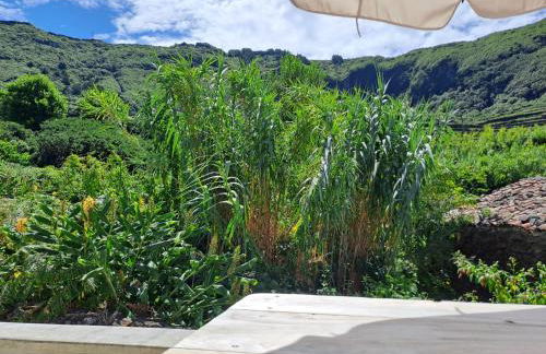 Casa Florescer - Blossom house - Foto 18