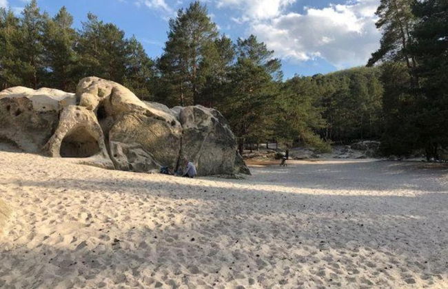 Apartment in Harz With Terrace and Fireplace - Photo 33