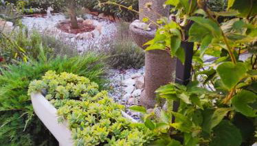 Apartman Jenny-Poreč - Foto 4, Garden