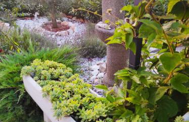 Apartman Jenny-Poreč - Foto 4