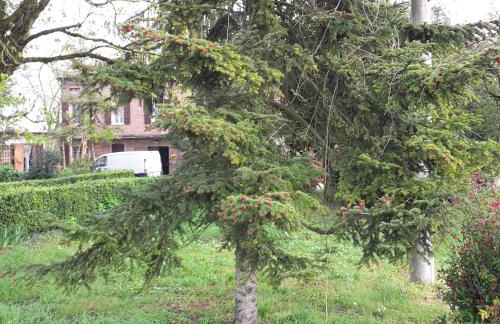 Agriturismo Dosso al Porto - Photo 24