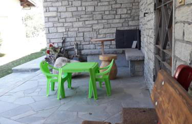 The Green Owl - Foto 37