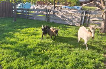 Ferienwohnung Franz Jägershof 27 - Foto 30