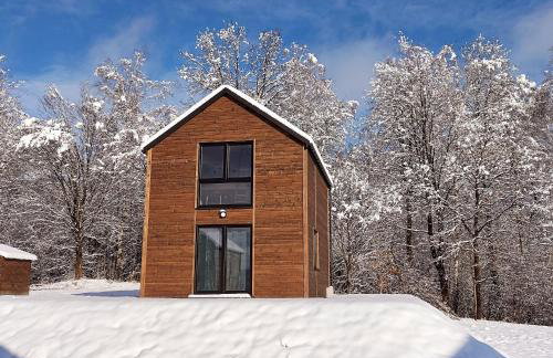 Dzikie Lisko - Domy wakacyjne w Bieszczadach - Foto 44