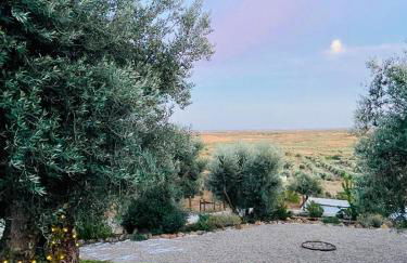 Montado Village - Foto 22