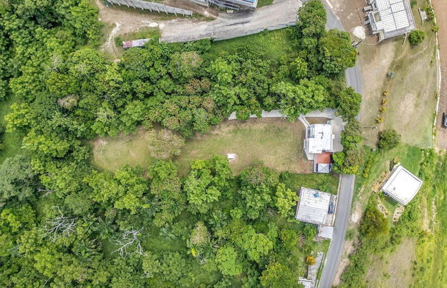 Mango Hill Retreat - Photo 24