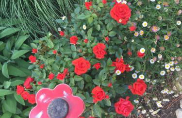 1 chambre 1 cuisine & salle d'eau privées avec piscine et jacuzzi - Foto 21