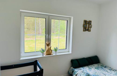 Łąkowy Zakątek Rybakowo - Foto 13