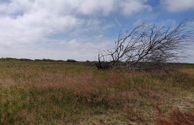 6 Person Holiday Home in Hvide Sande - Foto 6