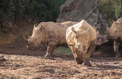 Los Caserios - Foto 12