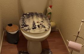 31 avenue GEORGES CLEMENCEAU - Foto 31