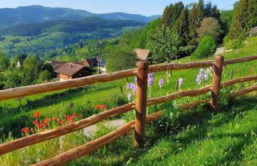Aux balcons de la vallée - Foto 11
