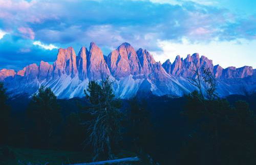 Jaiterhof - Photo 50