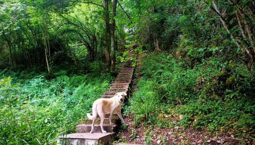 Apartamentos la buganvilla Novales - Foto 2