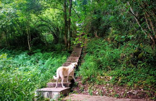 Apartamentos la buganvilla Novales - Foto 2