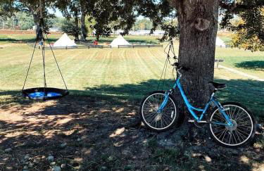 Rustic Stall B&B with Country Breakfast & Bonfires near Old Hickory Lake – Gallatin, Tennessee - Foto 13