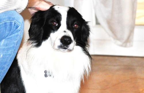 Ex Casa degli Artisti - Foto 9