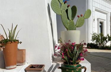 VITA VIVET TRULLO - Foto 32