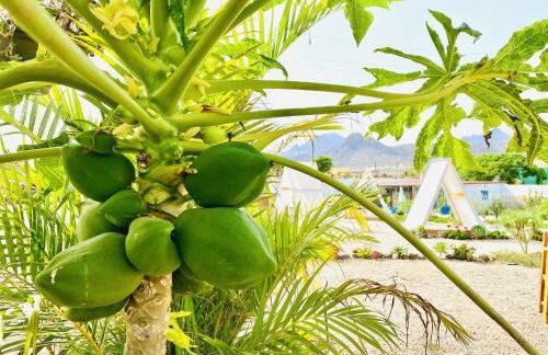 Amani Suite con Jacuzzi Climatizado y Piscina - Foto 56