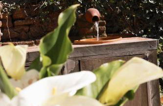 El arroyo del valle - Foto 31