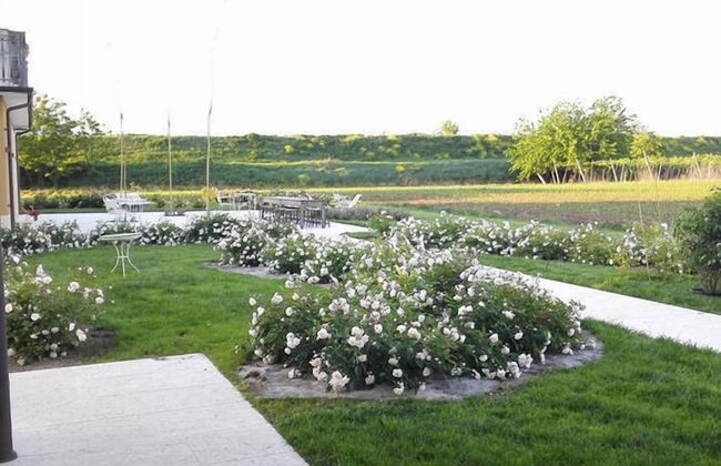 Agriturismo La Borina - Foto 72