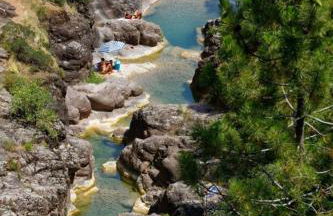 La Salamandre - Foto 22