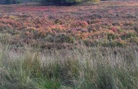 Apartment Schoenblick - Foto 14