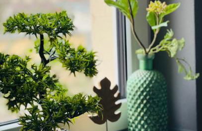 Ferienwohnung Thiele in Rosswein - Foto 17