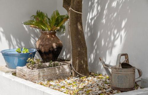 Amber and Rust Estremoz City House - Foto 14