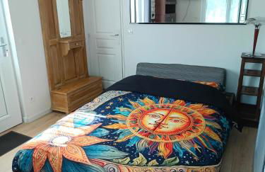 Studio quartier hôpital et université - Foto 12