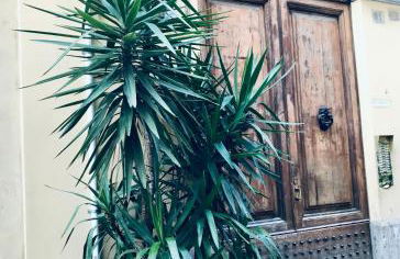 Roma Da Noi Suite - Foto 28