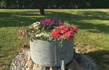 Haus Masur - Photo 67