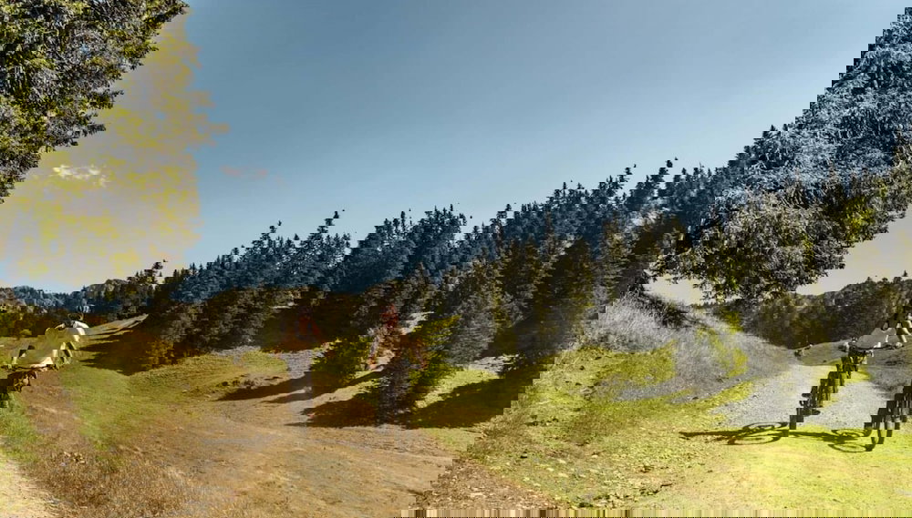 Voinettes Vnb3 Telecabine & Mountain 4 Pers - Foto 1, Imagen principal