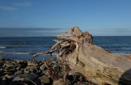 Pretty barn conversion in seaside village - Photo 17