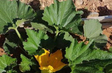 Casa De Madera, A home from home. - Foto 12