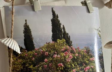 La casina fra gli oleandri - Foto 9