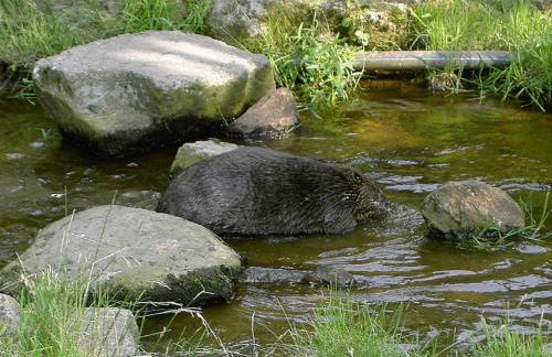 Ferienwohnung Brunner - Haus am See - Foto 20